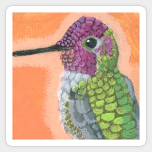 Anas Hummingbird Sticker